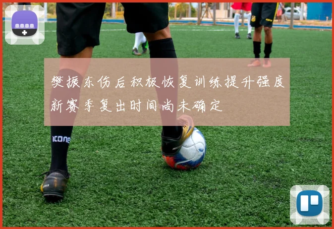 樊振东伤后积极恢复训练提升强度新赛季复出时间尚未确定