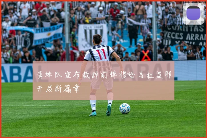 黄蜂队宣布裁掉前锋穆哈马杜盖耶开启新篇章